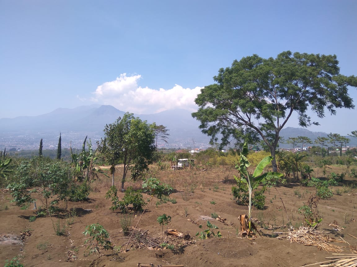 Sontoloyo Cafe Unik Di Desa Bulukerto Kota Batu