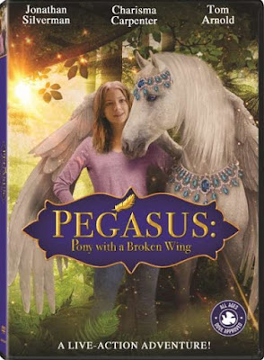 Pegasus Pony with a Broken Wing Movie DVD