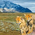 Wild Life in Iran 3 (Urdu Documentary)