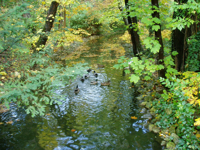 EL CAMPO GRANDE (VALLADOLID)