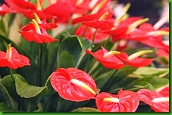 clip_image067