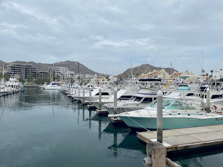 The Very Best and Worst time to Visit Cabo - When to Go and What to See