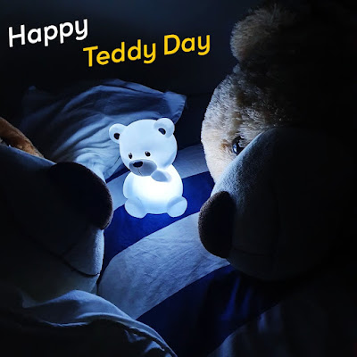 Romantic Teddy Day Images