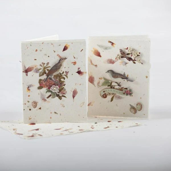 petal paper used to make two greeting cards