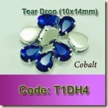 T1DH4 copy