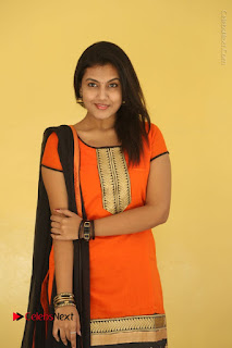 Telugu Actress Chandana Stills in Salwar Kameez at Karam Dosa Movie Press Meet  0014.JPG