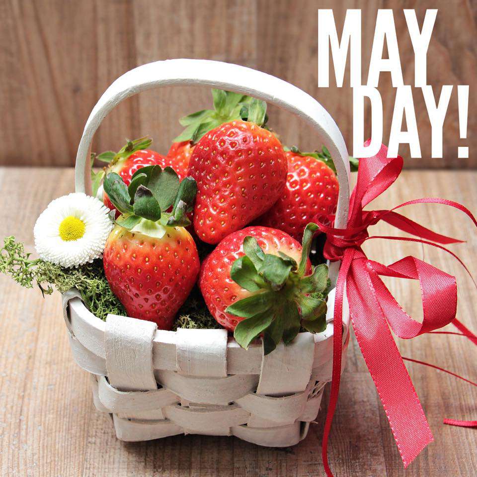 May Day Wishes Beautiful Image