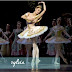 Ballet de Repertório - Sylvia