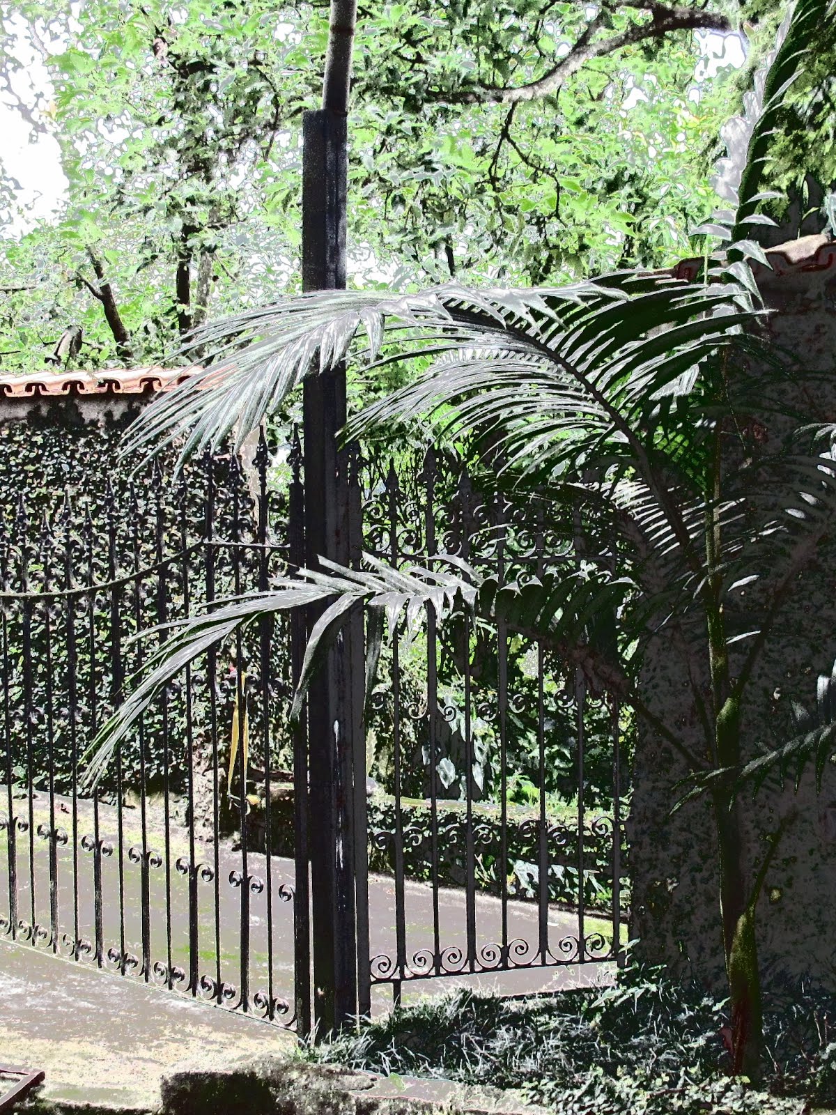 33 Entrada da garagem