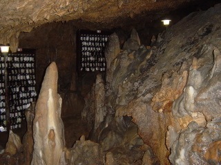 DSC00749