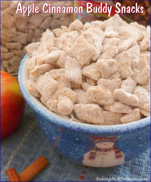 Apple Cinnamon Buddy Snacks, a fun version of the classic snack. | recipe developed by www.BakingInATornado.com | #recipe #snack