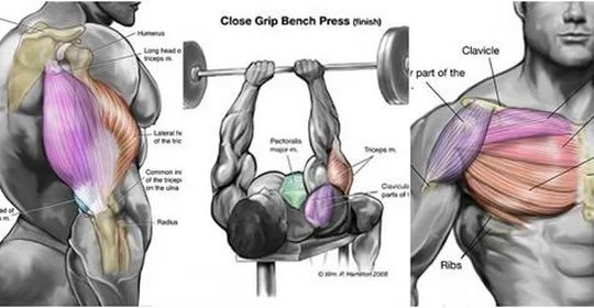 Chest And Triceps Workout: Killer Triceps Workout For Building Chest and Triceps Together