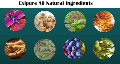 exipure all natural ingredients