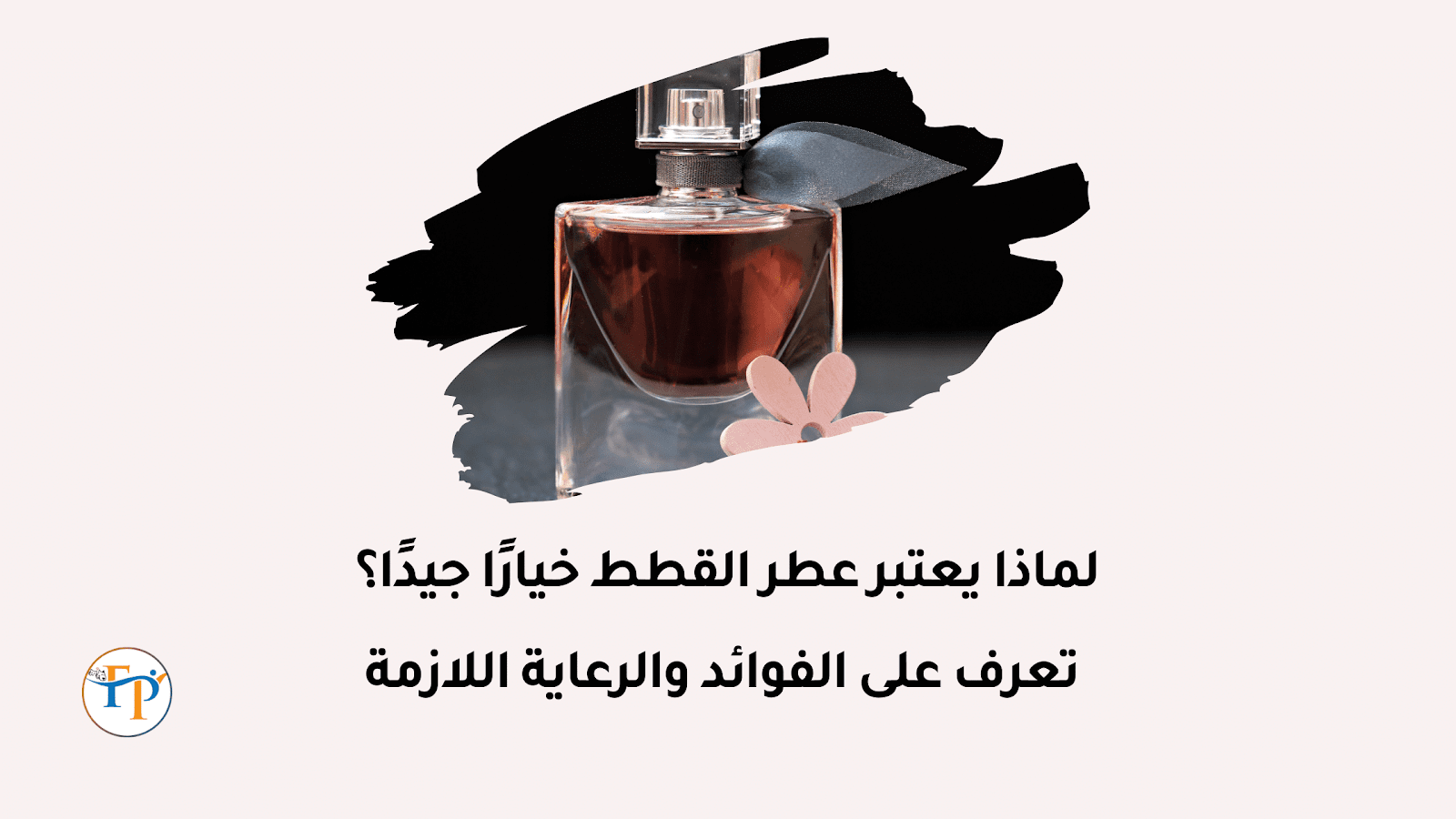 عطر القطط