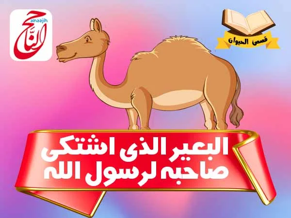 قصص الحيوان في القران قصة البعير الذي اشتكى صاحبه لرسول الله صلى الله عليه وسلم القصه مكتوبة