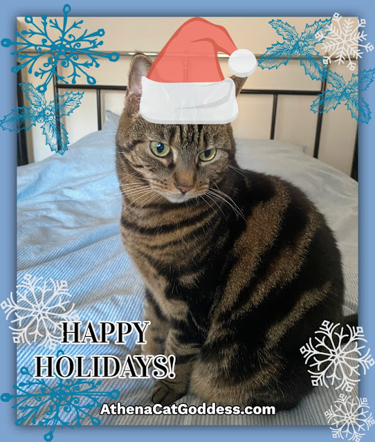 Cat Christmas graphic