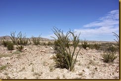 IMG_9740