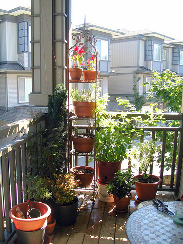 Small Balcony Garden Ideas