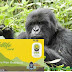  Mountain Gorilla trekking Uganda Vs. Rwanda, 2021 cost of Gorilla Safaris Rwanda Uganda