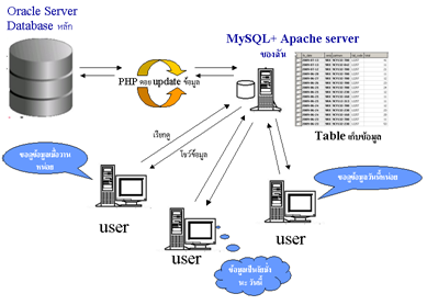 database_structure