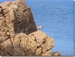 P1020451