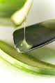 http://lifealoeveranatur.blogspot.com