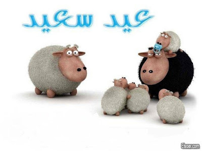 صور عيد الاضحى