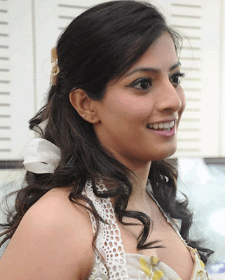 Varalakshmi's Hot And New Wallpapers