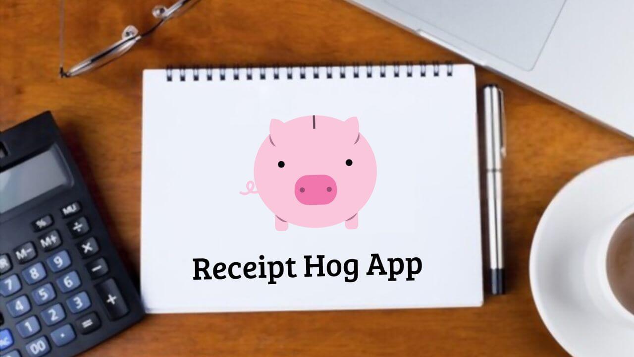 receipt-hog-escanea-recibos-y-obten-dinero-online