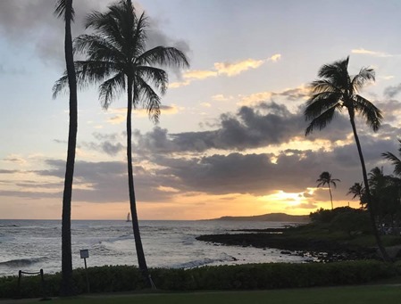 HAWAII01