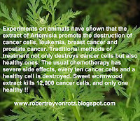 Sweet wormwood New  treatment cancer  in 55 types of cancer