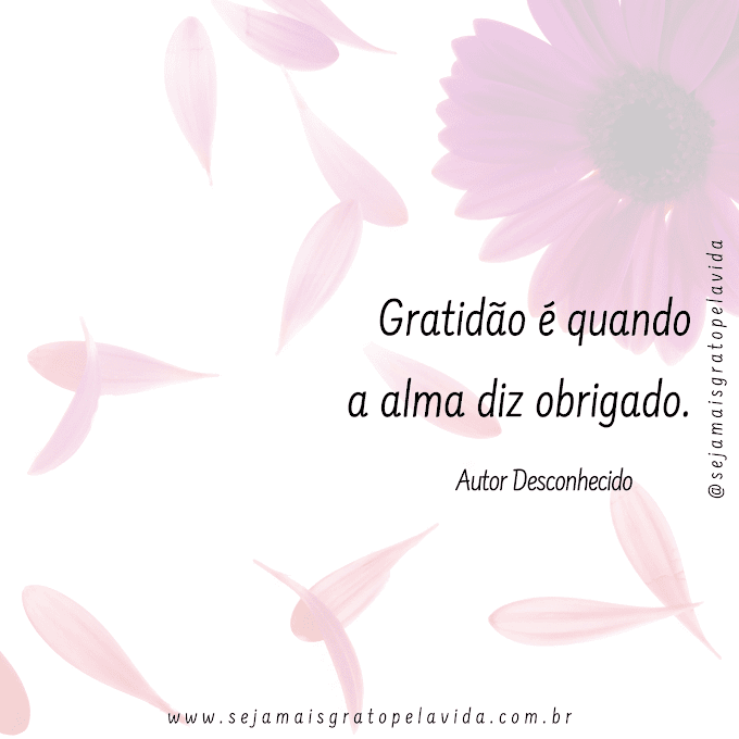 Frases de Gratidão