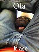 OLA K ASE (ola ase)