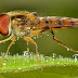 Use This Type Of Light Bulb To Combat Hordes Of Insects This Summer