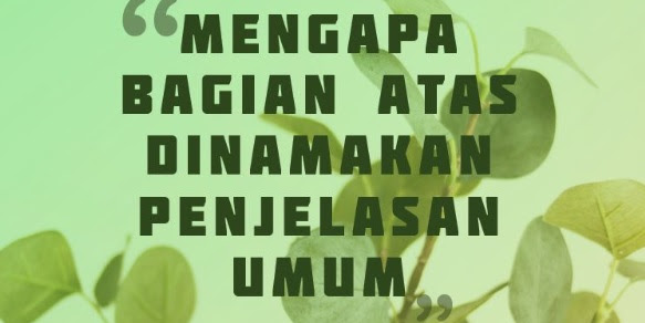 Jawaban Mengapa Bagian Atas Dinamakan Penjelasan Umum?