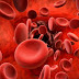 Anemia causes and methods of prevention | healthy care