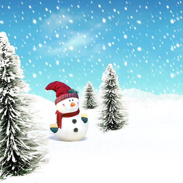 Christmas scenery iPad mini wallpaper