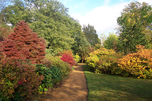 Autumn Garden2