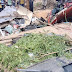 PHOTOS: Four Persons, 15 Cows, 20 Goats Die In Niger Road Crash 