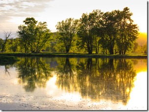 IMG_0362-Edit