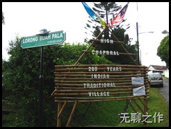 Picture 007