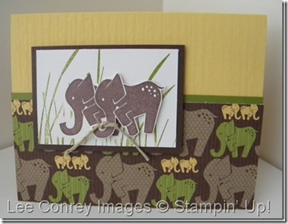 Animal Stories