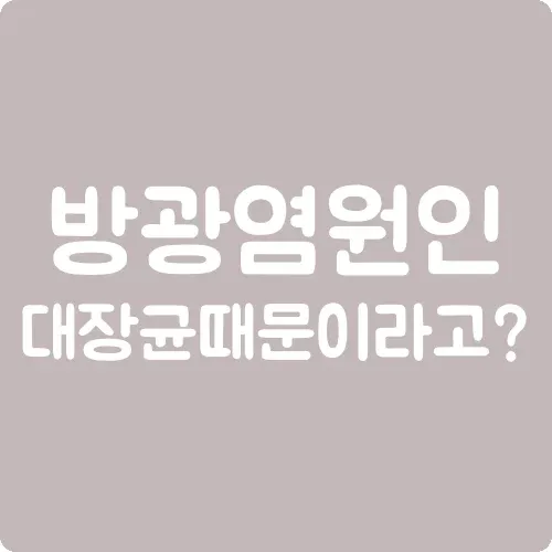 방광염 원인