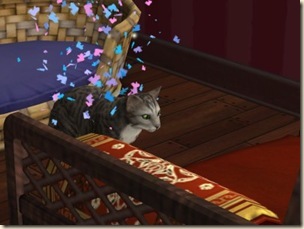 snapshot_f97c0402_39cccdfb