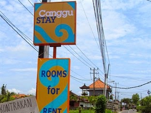 Canggu Stay Bali