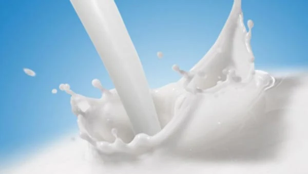 Manfaat Dan Kandungan Gizi Susu Untuk Kesehatan Tubuh