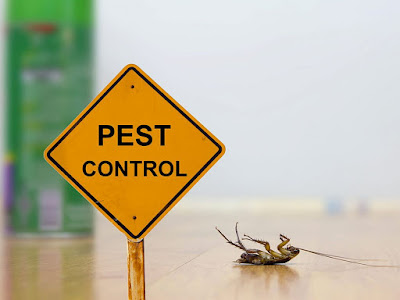 Best Home Pest Control