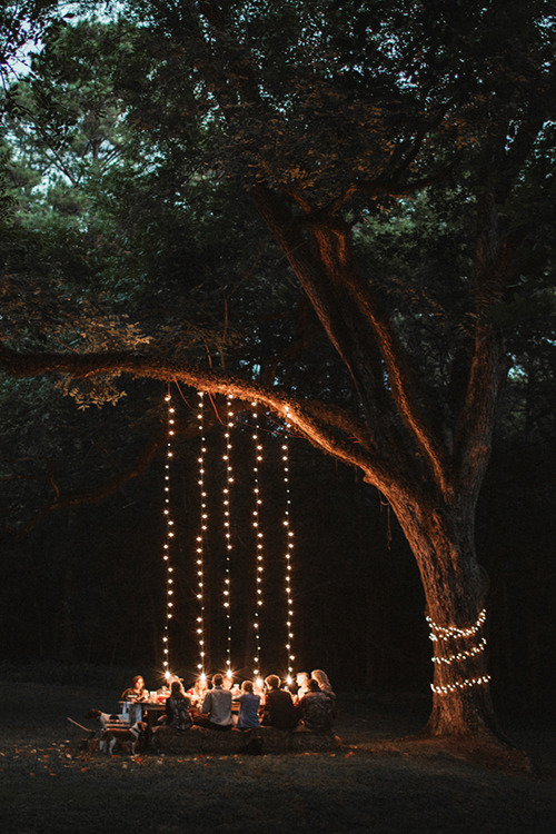 Two Men and a Little Farm: OUTDOOR TREE LIGHTING, INSPIRATION THURSDAY