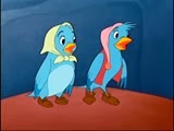 02 oiseaux