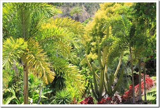 130713_TropicalGardensOfMaui_054